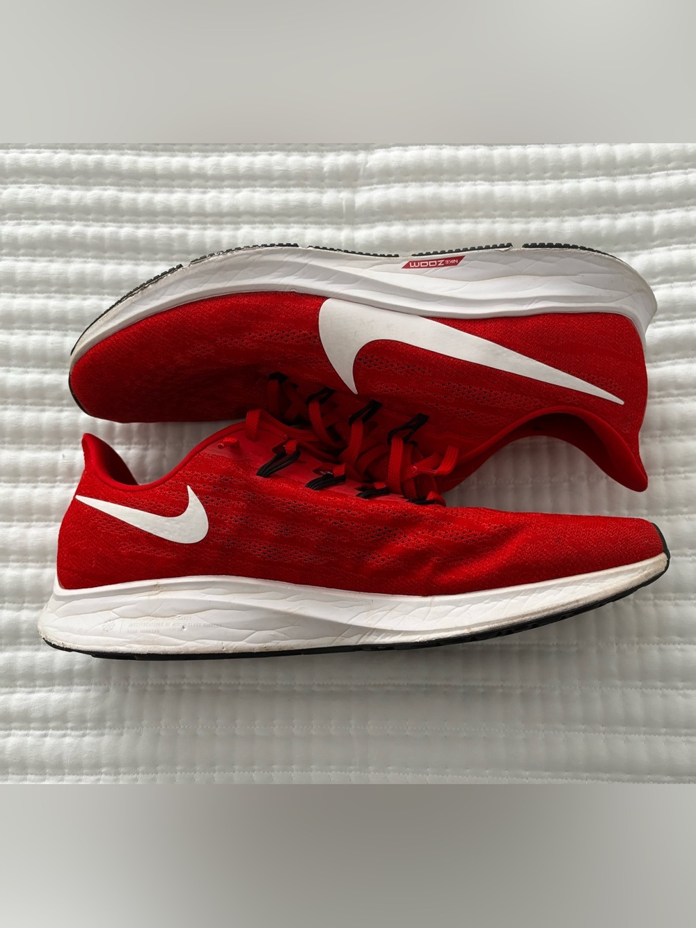 Men’s Nike Air Pegasus Size 13